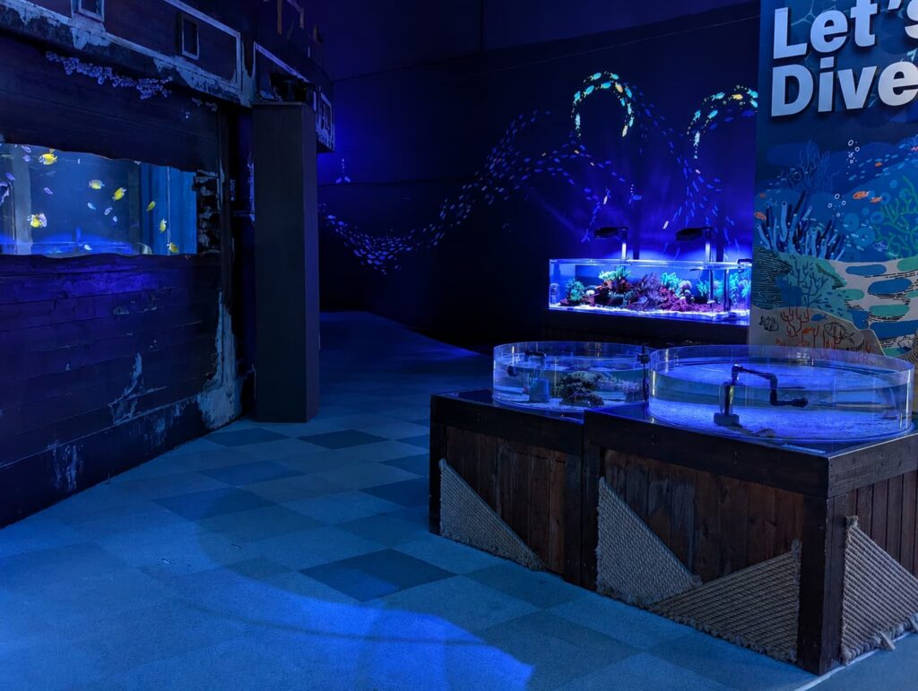 南知多ビーチランド 海洋館の様子