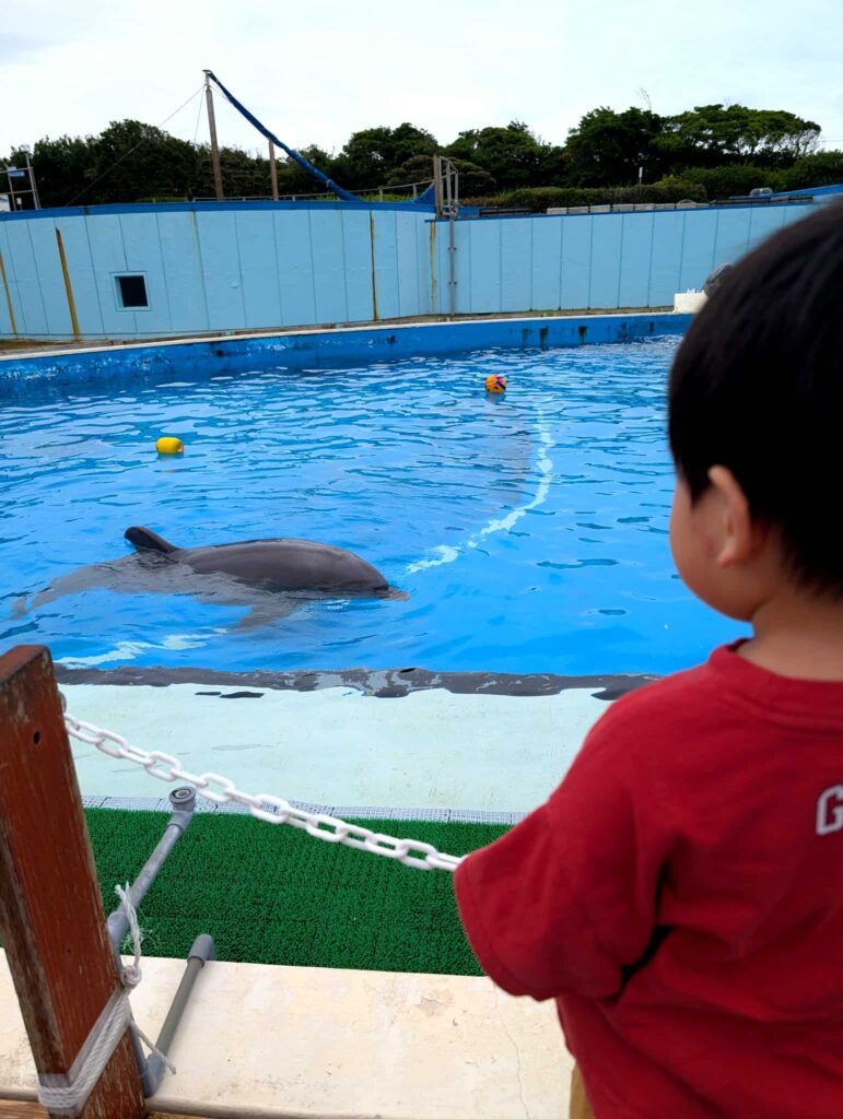 南知多ビーチランド イルカに夢中な2歳