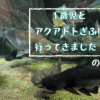 1歳とアクアトトぎふに行ってきた