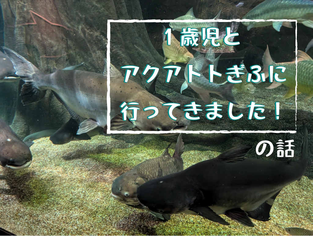 1歳とアクアトトぎふに行ってきた