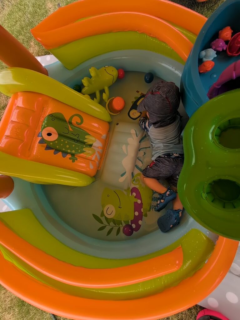 イグアナアドベンチャー2歳児 大さ